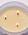 Violet & Musk 3-Wick Candle