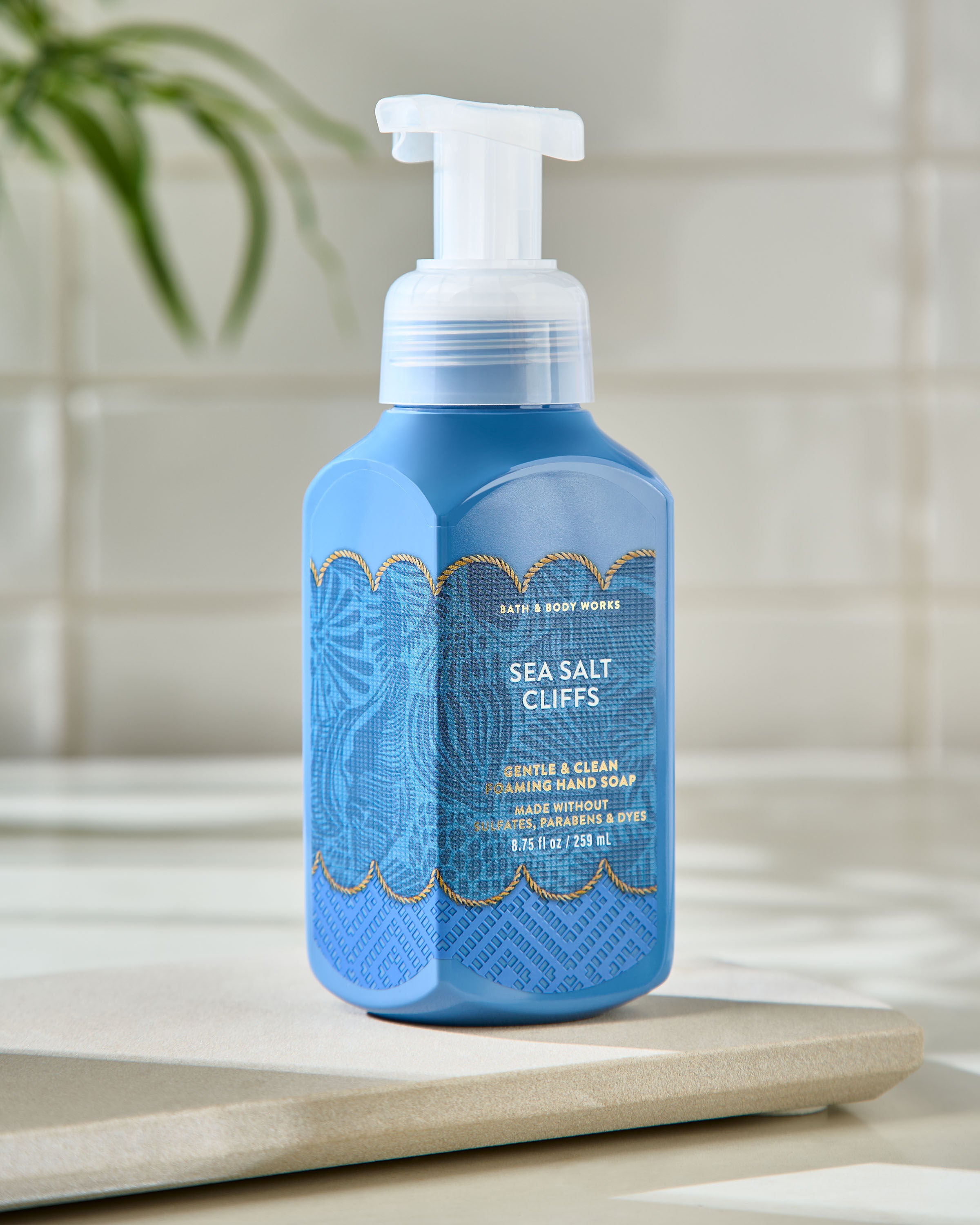 Sea Salt Cliffs Foaming Hand Soap | Bath & Body Works
