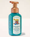 Berry Almond Drizzle Gentle & Clean Foaming Hand Soap