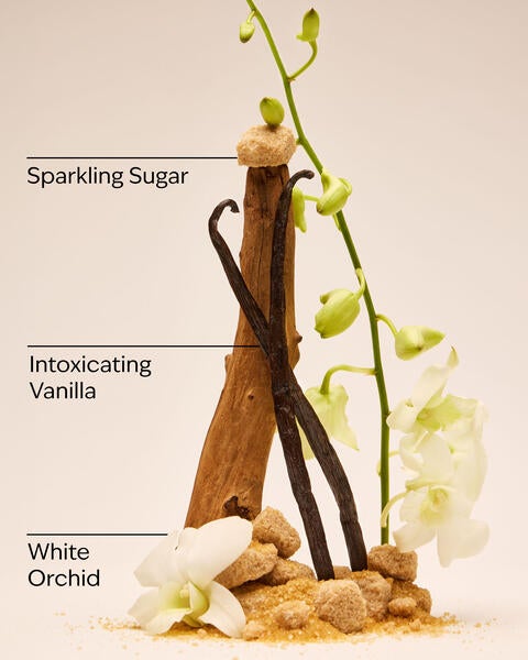 Warm Vanilla Sugar Gift Set