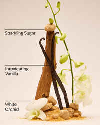 Warm Vanilla Sugar Gift Set