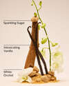 Warm Vanilla Sugar Gift Set