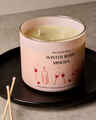 Winter Berry Mimosa 3-Wick Candle