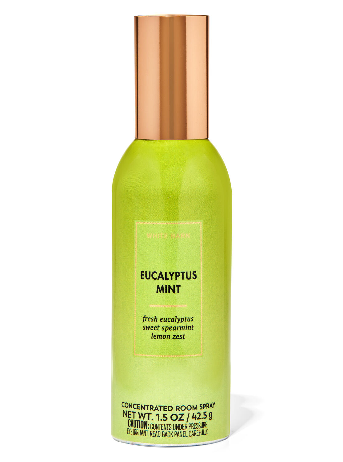 Eucalyptus Mint Concentrated Room Spray