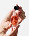 Pumpkin Carving Wallflowers Fragrance Refill