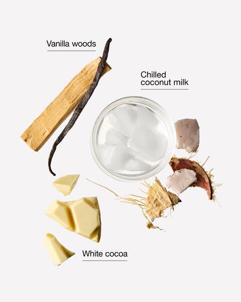 Vanilla Cocoa Flurries Gentle & Clean Foaming Hand Soap