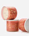 Snowy Peach Berry 3-Wick Candle