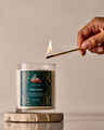 Tree Farm Single Wick Candle