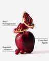 Cranberry & Pomegranate Single Wick Candle