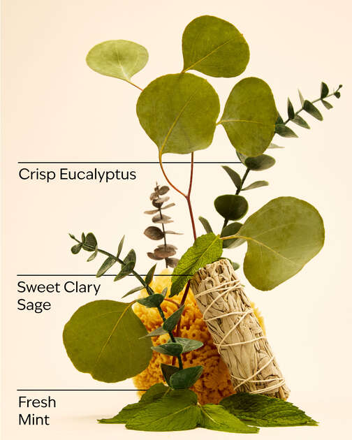 Eucalyptus Mint Gentle & Clean Foaming Hand Soap