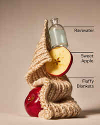 Lullaby Linen Wallflowers Fragrance Refill