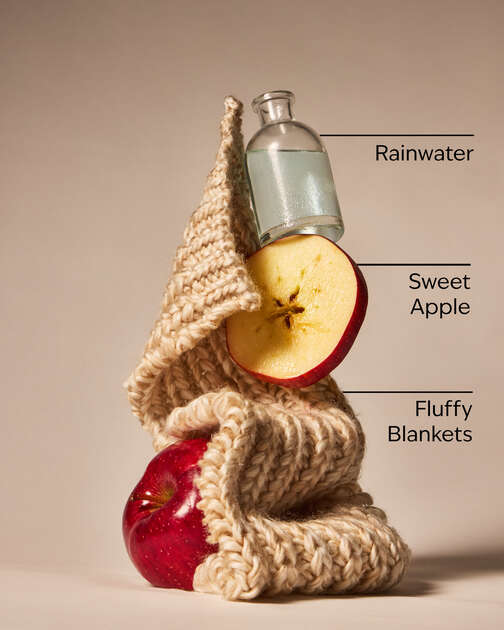 Lullaby Linen Wallflowers Fragrance Refill