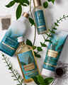 Stress Relief: Eucalyptus + Tea Essential Oil Mist