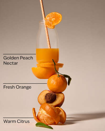 Sun-Ripened Peach 3-Wick Candle