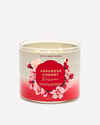 Japanese Cherry Blossom 3-Wick Candle