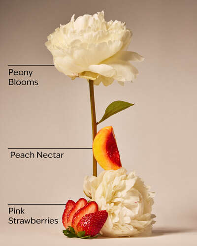 Gingham Gorgeous 3-Wick Candle