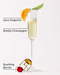Champagne Toast Moisturizing PocketBac Hand Sanitizer