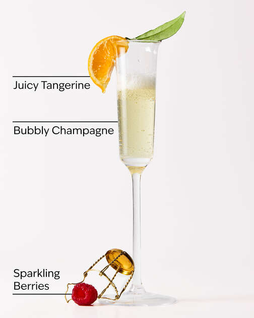 Champagne Toast Moisturizing PocketBac Hand Sanitizer