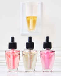 Rose Water & Ivy Wallflowers Refills 2-Pack