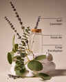 Laundry Day Wallflowers Fragrance Refill