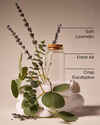 Laundry Day Wallflowers Fragrance Refill