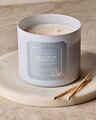 Eucalyptus Snowfall 3-Wick Candle
