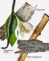 Vanilla Birch Wallflowers Refills 2-Pack