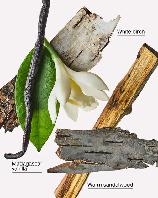 Vanilla Birch Wallflowers Refills 2-Pack