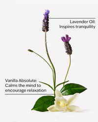 Lavender Vanilla Body Wash & Foam Bath