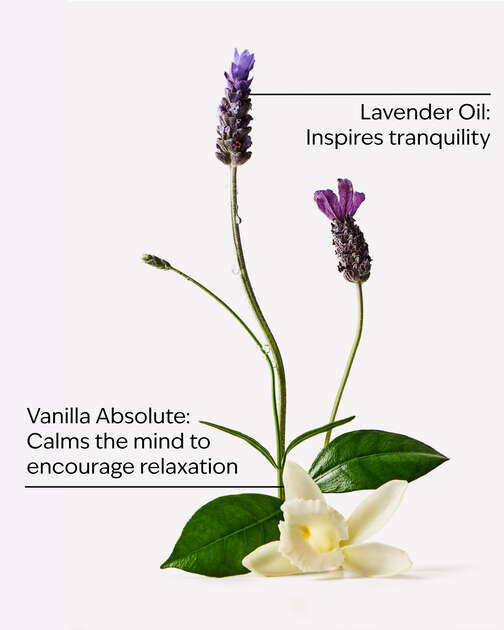 Lavender Vanilla Body Wash & Foam Bath