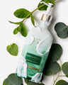 Eucalyptus Spearmint Moisturizing Body Lotion