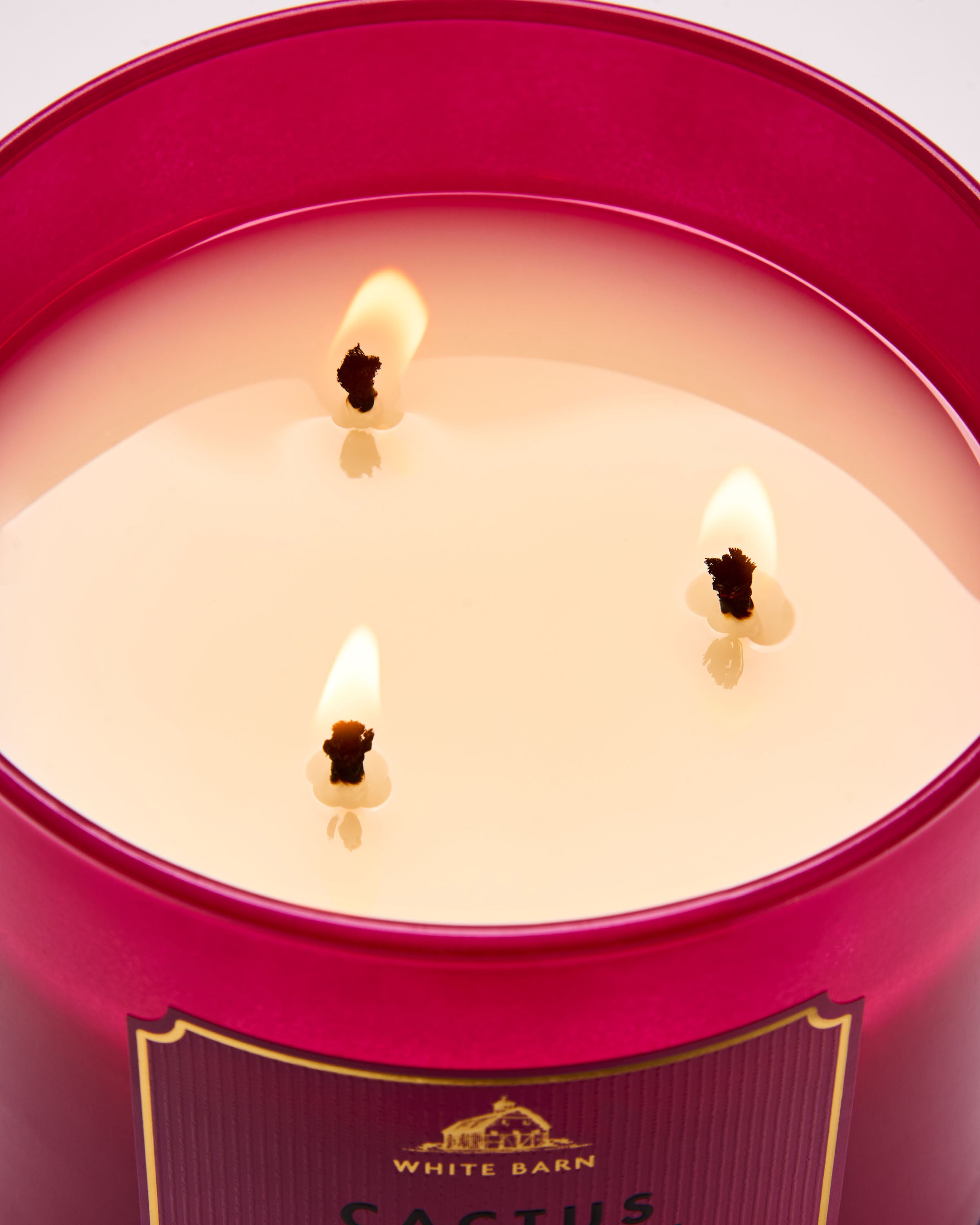 Cactus Blossom 3-Wick Candle - Thumbnail 4