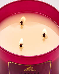 Cactus Blossom 3-Wick Candle
