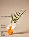 Canopy Dreams Wallflowers Fragrance Refill
