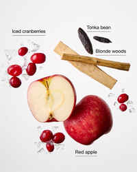 Frosted Cranberry Wallflowers Fragrance Refill