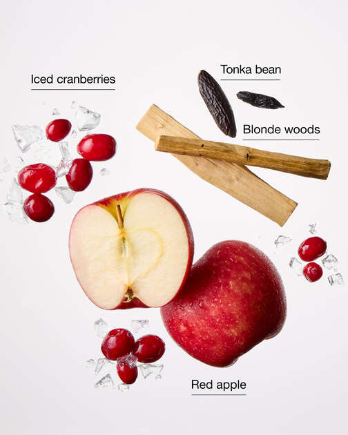 Frosted Cranberry Wallflowers Fragrance Refill
