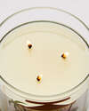 Coconut Piña Colada 3-Wick Candle