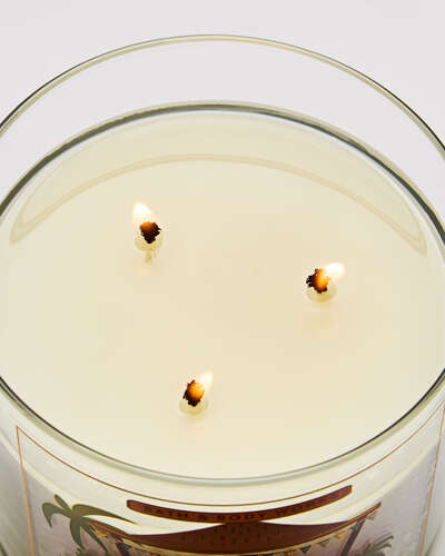 Coconut Piña Colada 3-Wick Candle