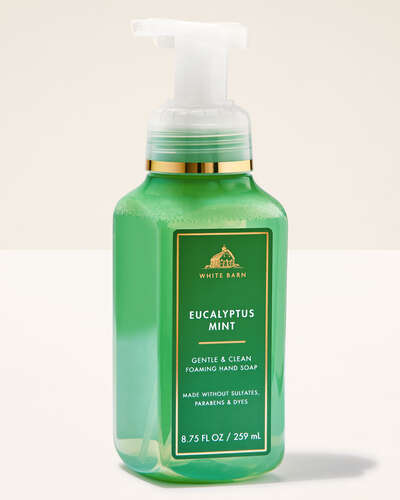 Eucalyptus Mint Gentle & Clean Foaming Hand Soap