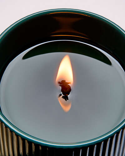 Bergamot & Musk Single Wick Candle