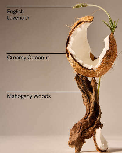 Mahogany Coconut Wallflowers Fragrance Refill