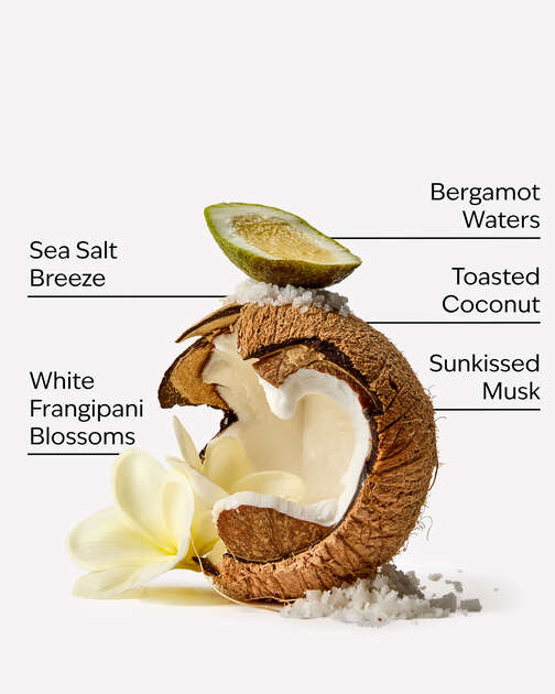 At the Beach Body Lotion