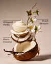 Vanilla Coconut Wallflowers Fragrance Refill