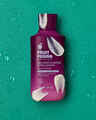 Plum Please Body Lotion