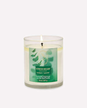 Eucalyptus Spearmint Single Wick Candle