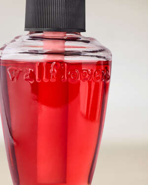 Strawberry Pound Cake Wallflowers Fragrance Refill