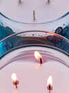 Snowflakes & Cashmere 3-Wick Candle
