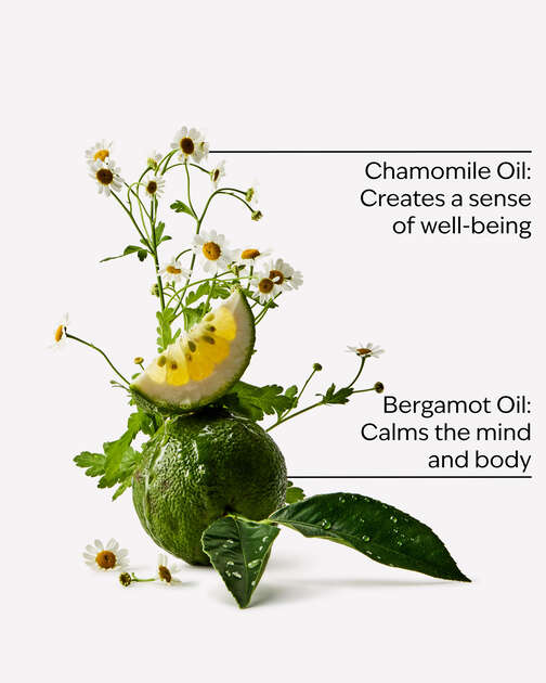 Sleep: Black Chamomile Essential Oil Mist