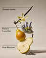 Moonlit Goddess Gentle & Clean Foaming Hand Soap