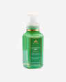 Eucalyptus Mint Gentle & Clean Foaming Hand Soap